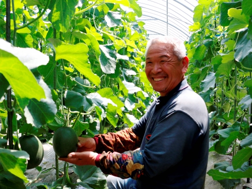 手紙のついた野菜と果物 果汁が溢れ出す、甘いあま～いメロン！！